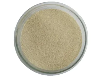 Bactéries de bio-détoxification